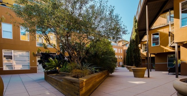 Large Wooden Planters in Newton